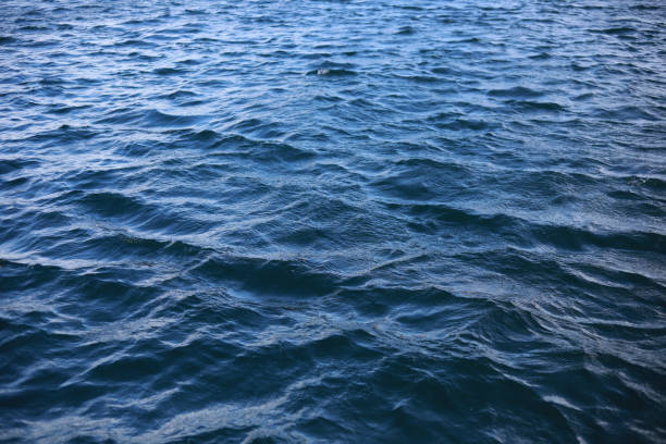 istock Dark Blue Sea Water 1271246718