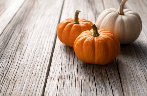 istock Orange and white pumpkin placed against an old tree background 1271246995