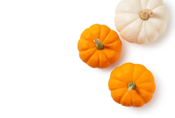 istock Orange and white pumpkin on a white background 1271247076