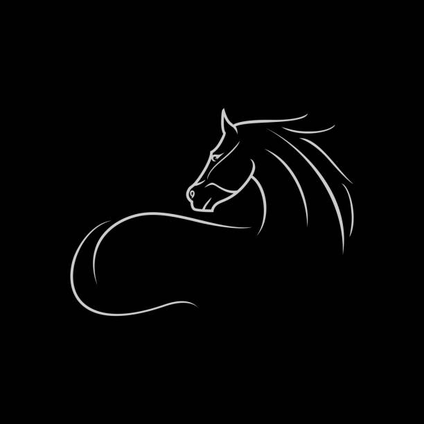 illustrations, cliparts, dessins animés et icônes de illustration simple de cheval élégante - cheval