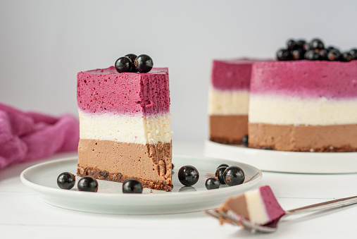 A piece of red and white layered mousse cake with chocolate and black currant