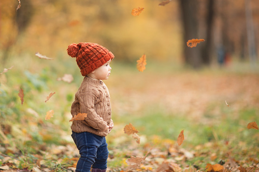 cute baby in autumn clothes looks to the right. child in knitted hats and jacket in cool weather. girl looks at fall of oak leaves