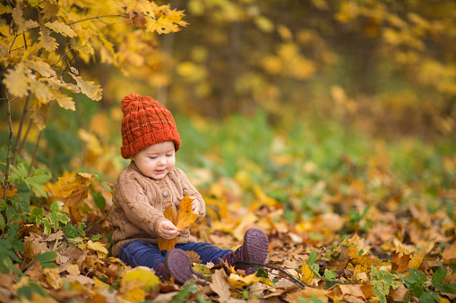 baby in knitted hat and jacket sits on grass in Park against background of autumn trees. children's clothing. walk outdoor