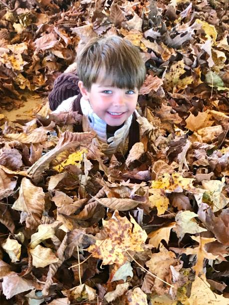 istock Autumn Leaves Peek-a-Boo 1271258870