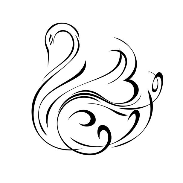 swan 34 one stylized Swan in black lines on a white background floating swan stock illustrations