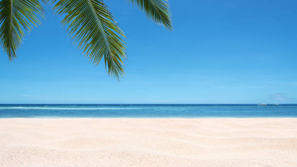 istock Summer tropical beach scene for background or wallpaper 1271261308
