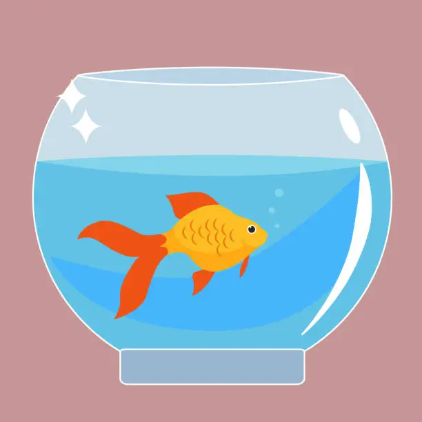 Vector illustration of Gold fish in aquarium vector illustration flat design