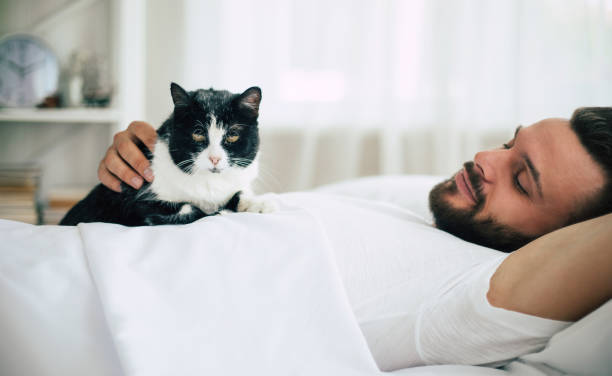 istock Handsome young bearded man is sleeping in a white big bed in a comfortable bedroom 1271264161