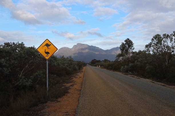 istock Bluff Knoll of Stirling Range 1271264444