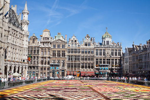 Fower carpet and many people on Grand Place in Brussels. Tourists are visiting regularily free event of flower carpet on square in summertime. Around are historical facades and buildings