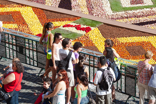 Young adult and senior tourists at flower carpet on Grand Place in Brussels. Aerial shot of people watching flower image. Other people and women are walking in bottom area
