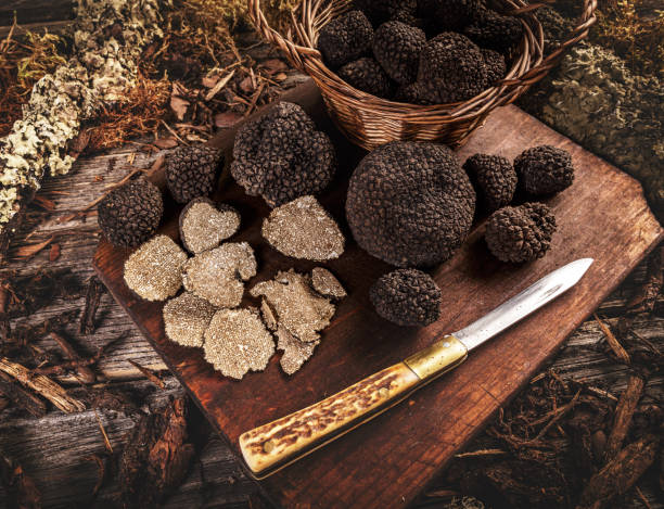 istock Black truffle with knife 1271269460