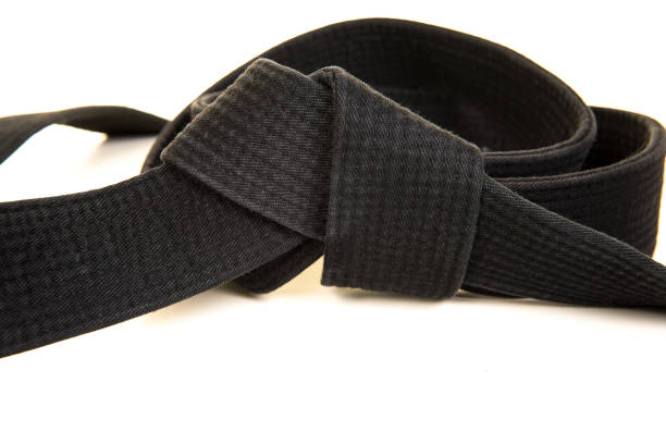 Martial arts fighter