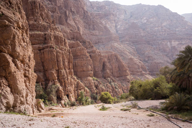 Wadi Ash Shab Pools and Cave Canyon leading towards Wadi Ash Shab Pools and Cave, Oman wadi shab stock pictures, royalty-free photos & images