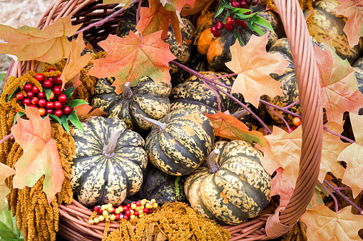 Small green pumpkins in a wicker basket decorated with autumn maple leaves. Autumn harvest of pumpkins.