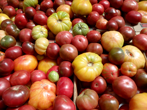 Bunch of multi-colored heirloom Tomatoes of all sizes in boxes.