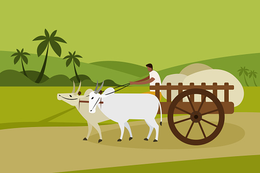 A villager transports goods in a bullock cart in rural India