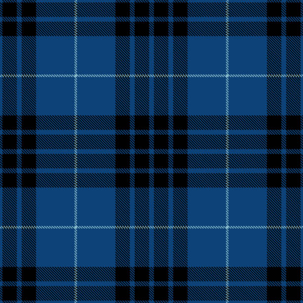 블루 블랙 스코틀랜드 타탄 격자 무늬 섬유 패턴 - plaid stock illustrations
