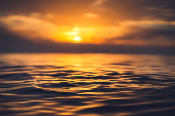 istock Sea wave on sunrise close up, low angle view, nature background 1271285036