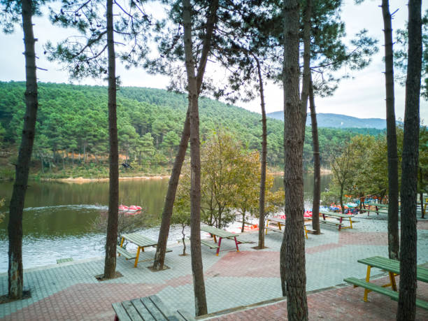 Aydos Forest Lake Aydos Forest Lake - Kartal, Istanbul,Turkey kartal stock pictures, royalty-free photos & images