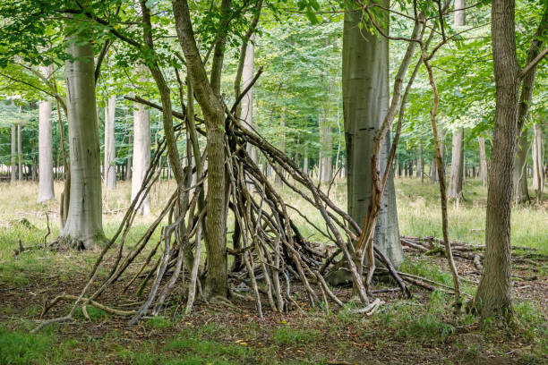 istock Children’s hut or shed build by branches 1271286244