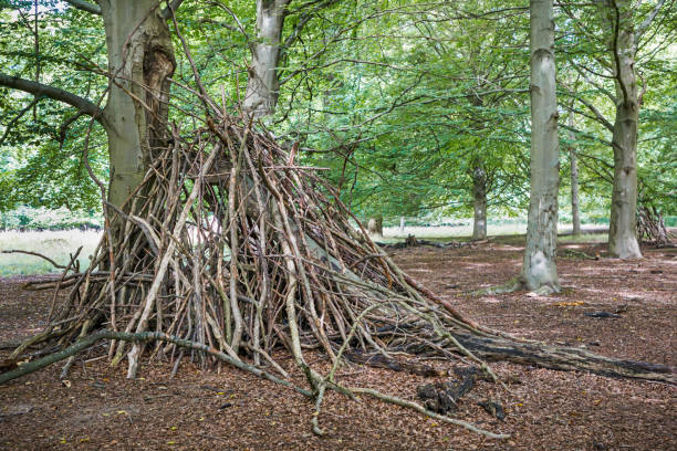 istock Children’s hut or shed build by branches 1271286296