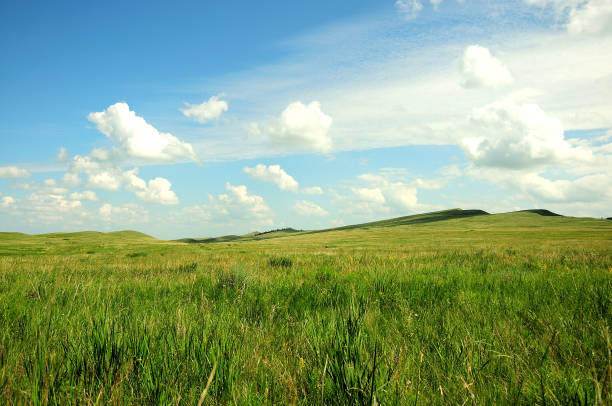 istock High hills overgrown with grass in the endless steppe under the summer cloudy sky. 1271291765