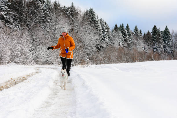 istock young woman runner training in winter park with husky dog 1271291774