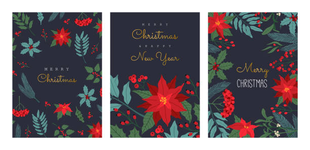 Christmas floral greeting card with tradional plants Set of Christmas greeting card, with winter plants, poinsettia, invitation for party, traditional symbol, horizontal frame. Vector illustration in flat cartoon style, isolated on dark blue background. poinsettia stock illustrations