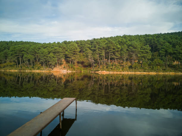 Pier on the Lake in Aydos Forest