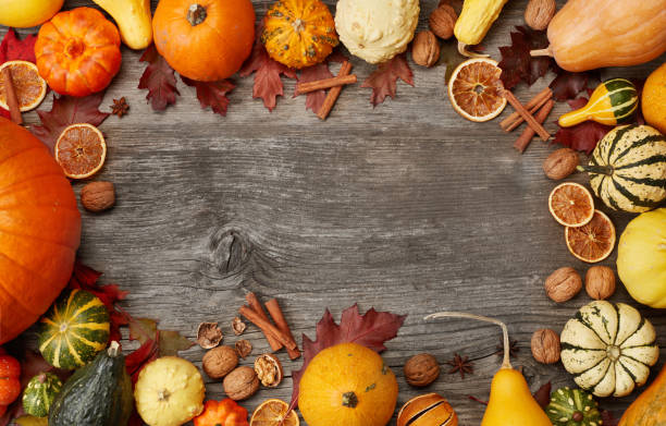 istock Thanksgiving background with pumpkins 1271293611