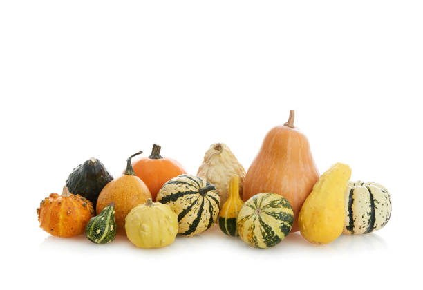 istock Group of pumpkins 1271294027