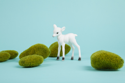 a white fawn among moss rocks set on a blue background. Pop atmosphere. minimal color still life photography