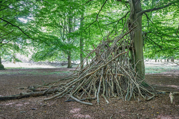 istock Children’s hut or shed build by branches 1271298625