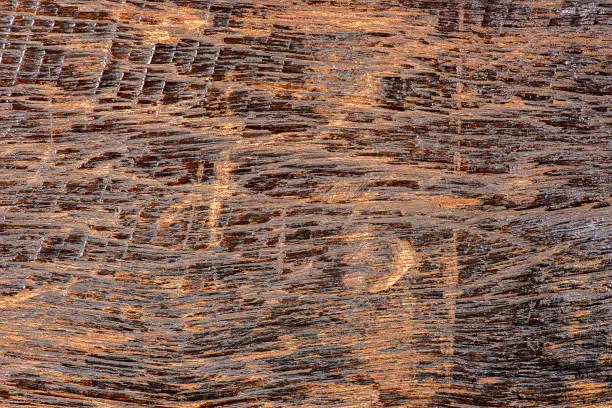 Detailed closeup macro photo of wood, texture background.