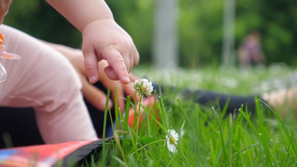 istock Baby Hand Touching A Small Wild Flower 1271298986