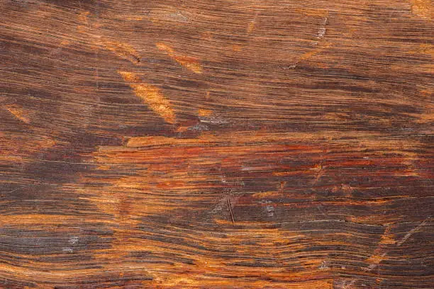 Detailed closeup macro photo of wood, texture background.