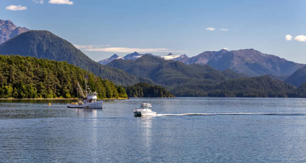 istock A beautiful panoramic shot of a harbour in Sitka, AK 1271304297