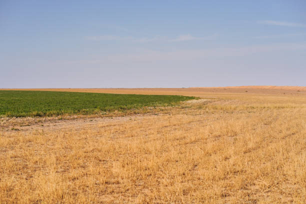 istock agriculture fields irrigated with groundwater in desert area 1271305755