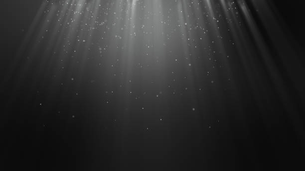 istock Dark light white black particle form abstract background with falling and flicker light beam ray particles. 1271307951