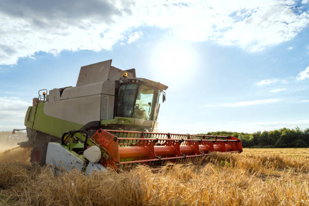 istock Combine harvester harvests ripe wheat. agriculture image 1271308667