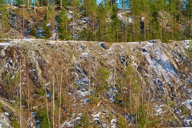 istock mountain landscape with trees on the rocks 1271309069