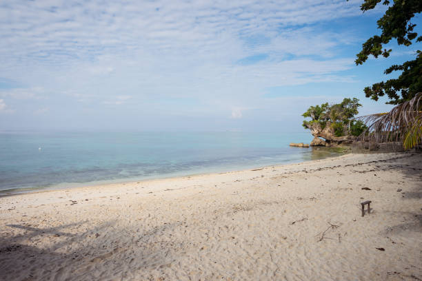 istock beautiful white sand beach and turquoise water with some trees 1271309843
