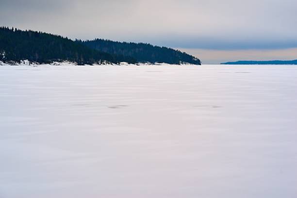 winter landscape with white snow on a large lake or in a clear field and with forest on a hilly horizon