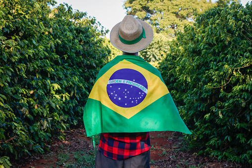 Farmer at coffee plantation holding Brazilian flag.