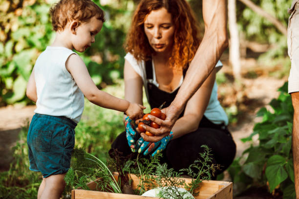 istock Family gardening together 1271315676