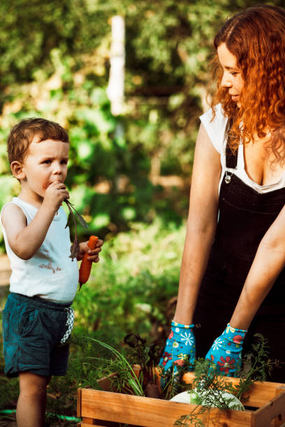 istock Family gardening together 1271315677