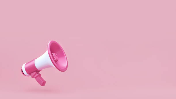 istock Megaphone Announcement  on Pink Background Template 1271315692
