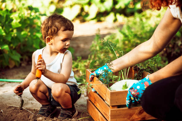 istock Family gardening together 1271315965