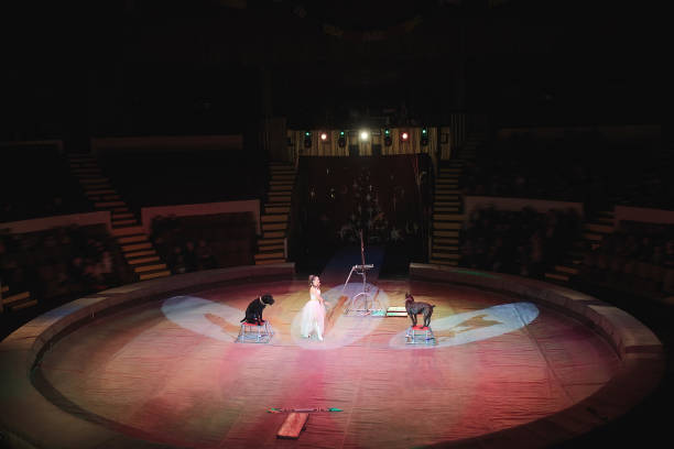 istock A Dog training in the circus arena. 1271316415